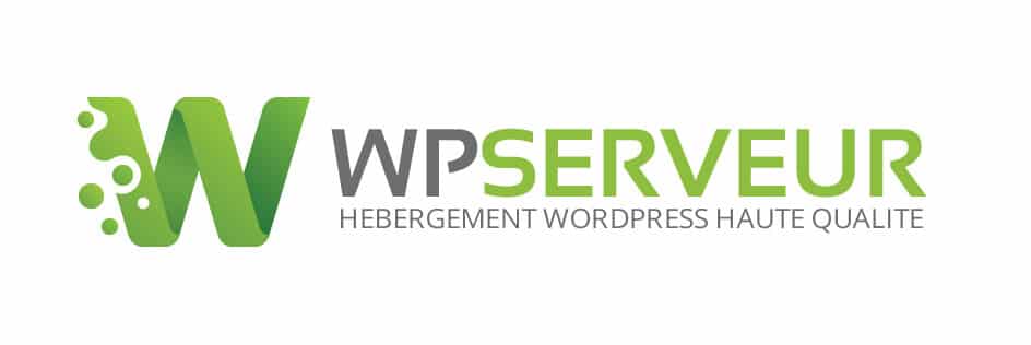 WP Serveur, un hébergeur infogéré Français, proposant des prestations d'infogérance payantes pour votre site WordPress