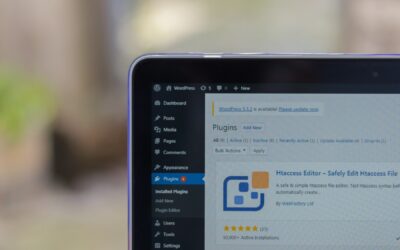 Pourquoi faire appel à un pro pour la gestion de votre site WordPress ?