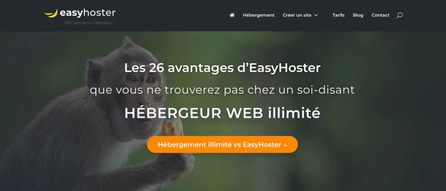 Avis EasyHoster