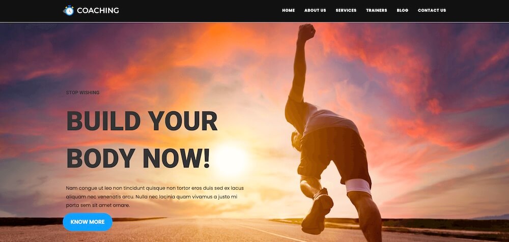 Classement des meilleurs thèmes WordPress pour les sites vitrine, 2, OceanWP